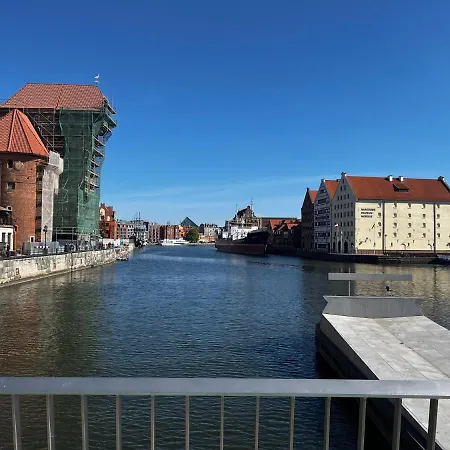 Danio Old Town *